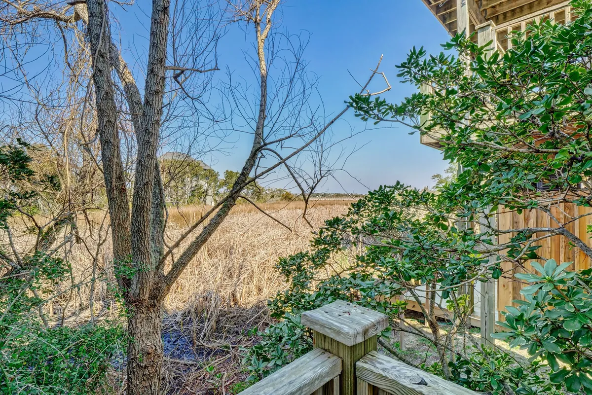 A tranquil view over expansive marshland framed by bare tree branches and lush foliage. The scene is peaceful and imbued with sunset light, offering a beautiful vantage point for relaxing with a drink or enjoying nature. This view can be experienced from the property’s deck, reinforcing the appeal of outdoor living.